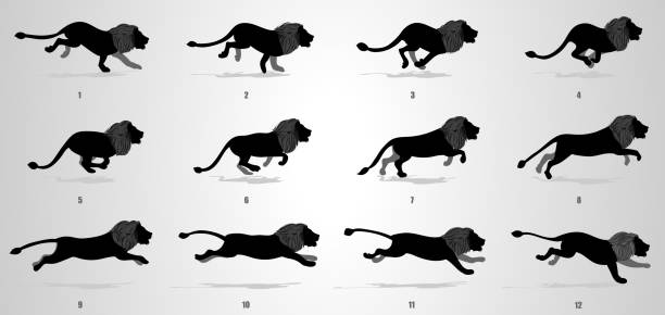 Lion Run cycle animation Sequence Lion Running animation frames and sprite sheet running borders stock illustrations