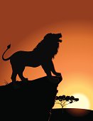 Vector illustration of a lion roaring in overlook of the Serengeti Plain at sunset.