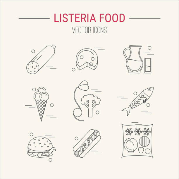 listeria contaminated food Listeria contaminated food icon set. Stock vector illustration of products that may cause listeriosis. Medicine and biology collection listeria stock illustrations