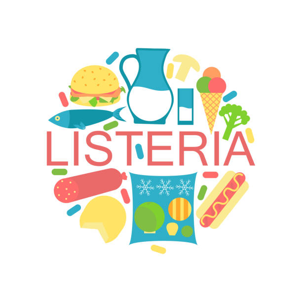 listeria contaminated food Listeria contaminated food icons. Stock vector illustration of products that may cause listeriosis. Medicine and biology collection. Flat style listeria stock illustrations