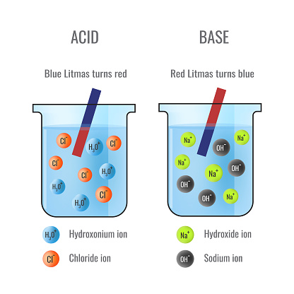 Litmus test of Acid and Base in Chemistry Laboratory