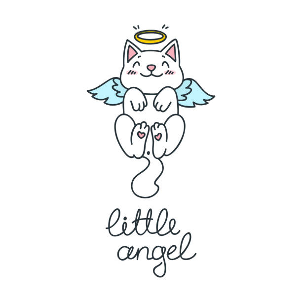 Pictures angel cat Userpage of