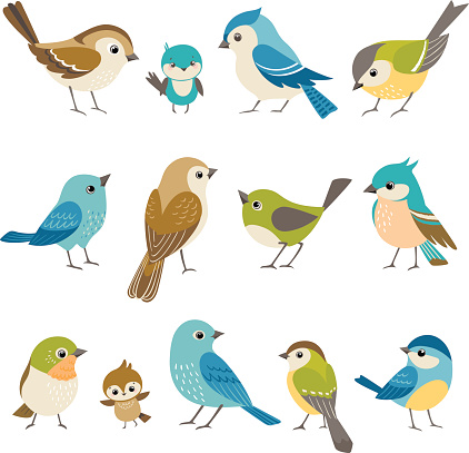Set of cute little colorful birds isolated on white background