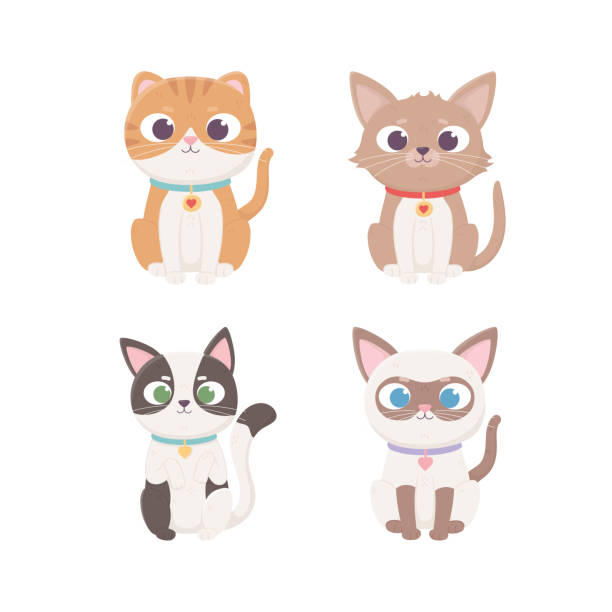 illustrations, cliparts, dessins animés et icônes de petit caractère de chats s’asseyant la race différente avec , animaux familiers - chaton