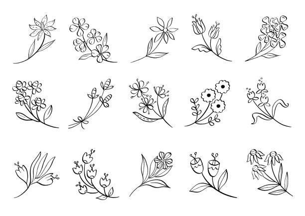 little flowers cute line art drawing vector black and white illustration vector art illustration