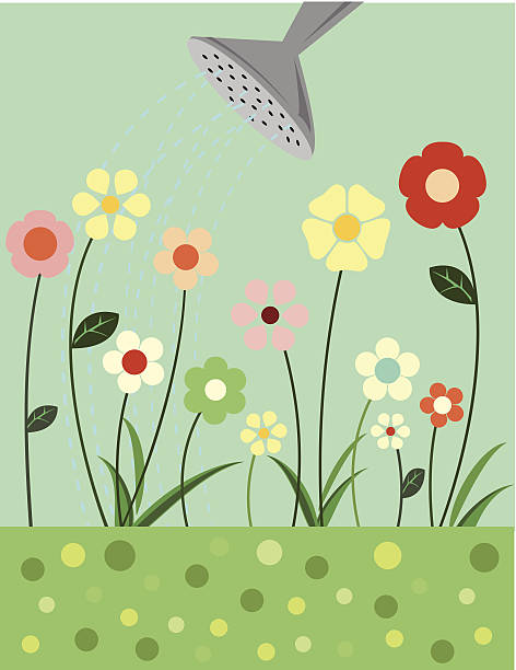 Little Flowers will Grow Illustration of little flowers being watered. gardening backgrounds stock illustrations