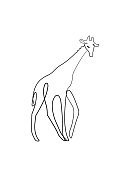 Little giraffe one line drawing continuous line