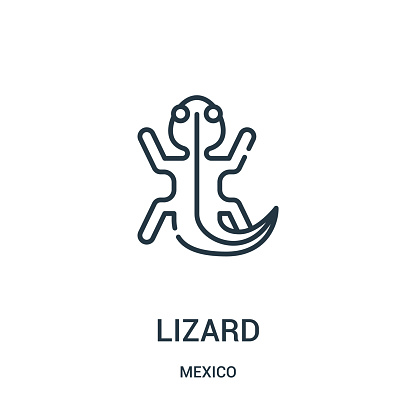 lizard icon vector from mexico collection. Thin line lizard outline icon vector illustration.