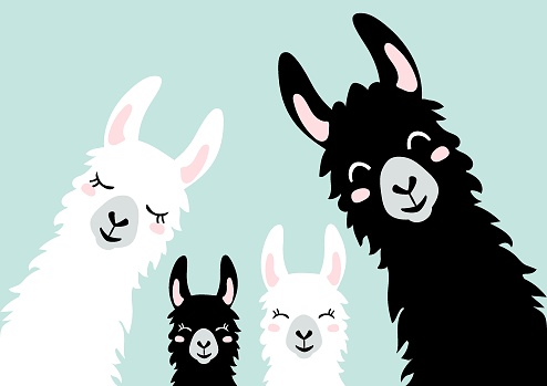 Llama Alpaca. The klan card. Family illustration, vector - Vector