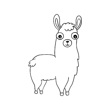 Llama animal outline for children coloring book. Lama glama.