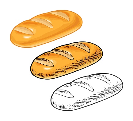 Loaf of bread. Vector color hand drawn vintage engraving