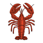 istock Lobster engraving vector illustration for seafood menu. Hand drawn crustacean in a vintage style. 1389951082