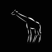 Schematic logo icon of african giraffe on the black background.