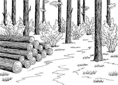 Logs cut in the forest graphic black white landscape sketch illustration vector
