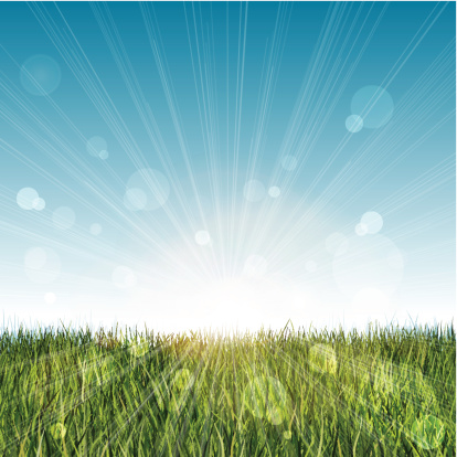 Long grass landscape with blue sky and lens flare