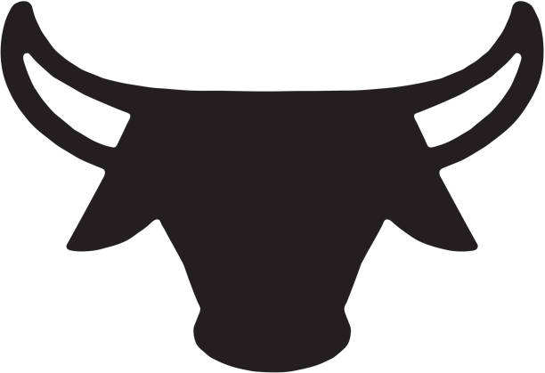 Longhorn  bull animal stock illustrations