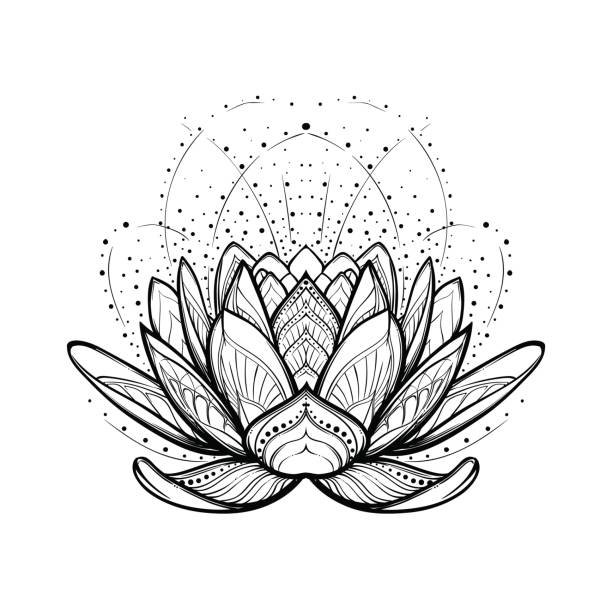 lotus-blume. komplizierte stilisierte lineare zeichnung isoliert auf weißem hintergrund. - lotusblume tattoo stock-grafiken, -clipart, -cartoons und -symbole