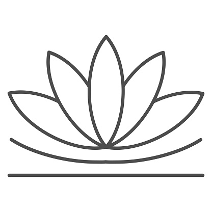 Lotus flower thin line icon, chinese mid autumn festival concept, lotus on water lily sign on white background, blooming flower from china icon in outline style for web design. Vector graphics
