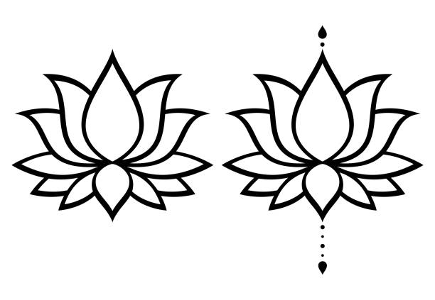 lotus-blume-vektor-design legen, yoga oder zen dekorativen hintergrund - boho-stil - lotusblume tattoo stock-grafiken, -clipart, -cartoons und -symbole