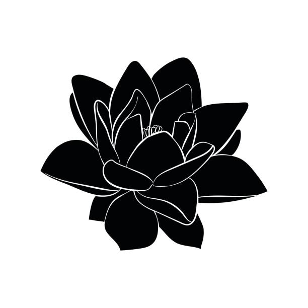 lotus blumen-symbol - lotusblume tattoo stock-grafiken, -clipart, -cartoons und -symbole