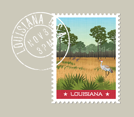 Louisiana postage stamp design. Vector illustration of Sandhill cranes and pines in wetland nature preserve.