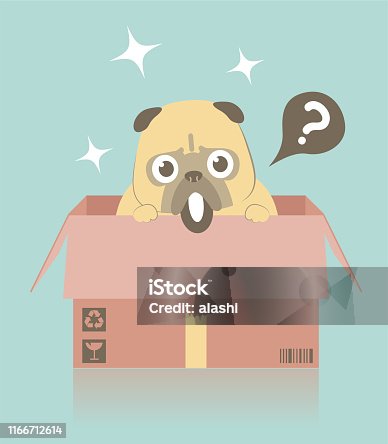 istock Lovable dog in a cardboard box waits to be adopted 1166712614