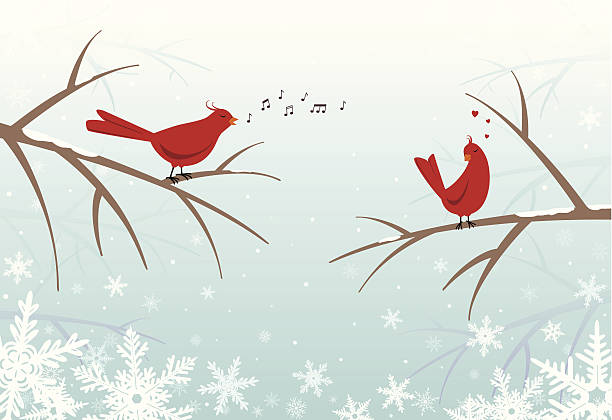 lovebirds auf schneebedeckte zweige im winter - kaltes herz stock-grafiken, -clipart, -cartoons und -symbole