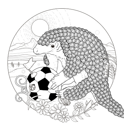 lovely armadillo coloring page