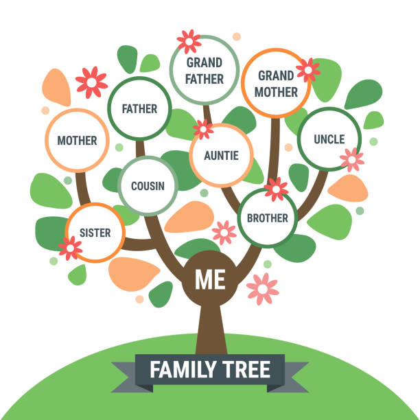 ilustraciones, imágenes clip art, dibujos animados e iconos de stock de precioso árbol genealógico con flores decorativas - family tree