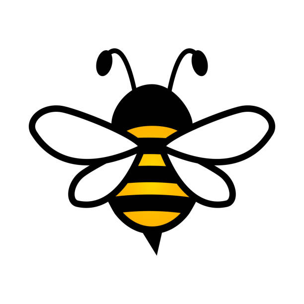 Lovely simple design of a yellow and black bee vector illustration on a white background Lovely simple design of a yellow and black bee vector illustration on a white background animal antenna stock illustrations