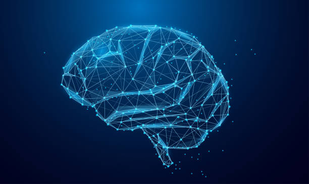 Low poly brain or Artificial intelligence concept. Symbol of Wisdom point. Abstract vector image of a human brain. Low Polygonal wireframe blue illustration on dark background. Lines and dots. Low poly brain or Artificial intelligence concept. Symbol of Wisdom point. Abstract vector image of a human brain. Low Polygonal wireframe blue illustration on dark background. Lines and dots. artificial intelligence illustrations stock illustrations