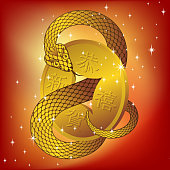 Lucky coin with snake, the Chinese character in the lucky coin means Happy New Year. EPS10.
