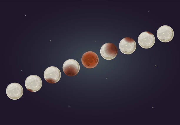 Lunar Eclipce, vector illustration All phases of a total lunar eclipse on night sky background, vector illustration blood moon stock illustrations