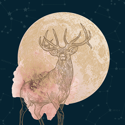 A detailed line art illustration of the lunar month of July with an elk on the moon on a constellation background.