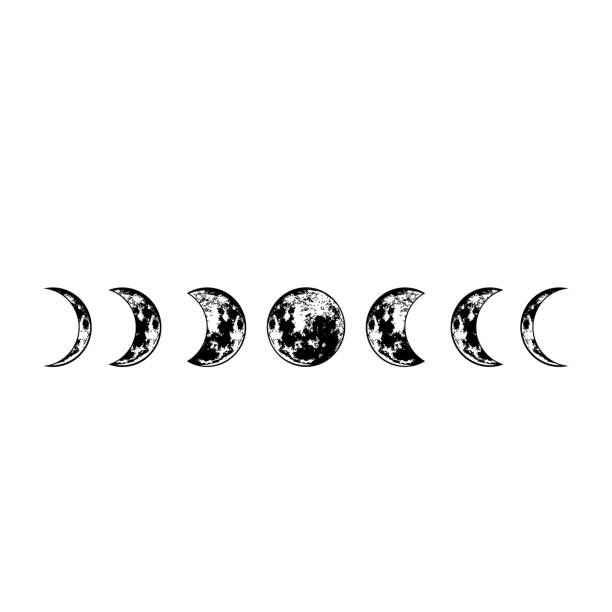 Lunar phases. Vector moon surface. Isolated cosmic silhouette. Lunar phases. Vector moon surface. Isolated cosmic silhouette. full moon illustrations stock illustrations