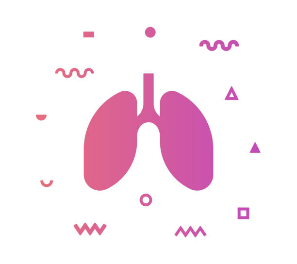 stockillustraties, clipart, cartoons en iconen met long vector pictogram lijn illustratie - longen