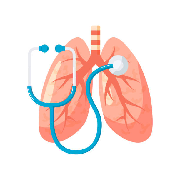 扁平型肺診斷向量設計 - 呼吸系統 幅插畫檔、美工圖案、卡通及圖標