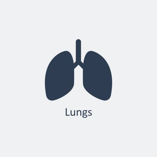 stockillustraties, clipart, cartoons en iconen met het pictogram van de longen. vectorillustratie - longen
