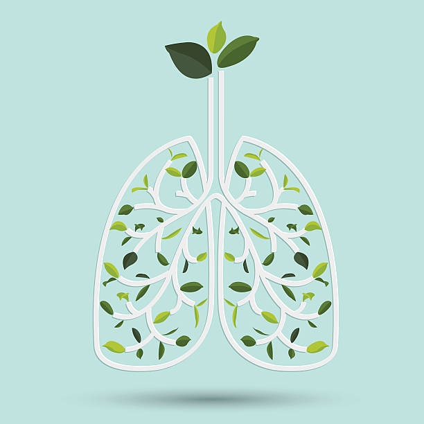 stockillustraties, clipart, cartoons en iconen met lungs with green leaf. vector illustration - hugging outside