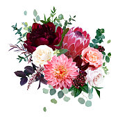 Luxury fall flowers vector bouquet. Protea flower, garden rose, burgundy red peony, peachy coral dahlia, ranunculus, astilbe, greenery and berry. Autumn wedding bunch of flowers. Isolated and editable