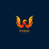 Vector illustration of luxury phoenix logo concept. best phoenix bird logo design