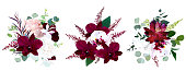 Luxury seasonal vector bouquets. Dark orchid, garden rose, burgundy red succulent, ranunculus, astilbe, hydrangea, eucalyptus and greenery.Autumn winter wedding bunch of flowers.Isolated and editable.