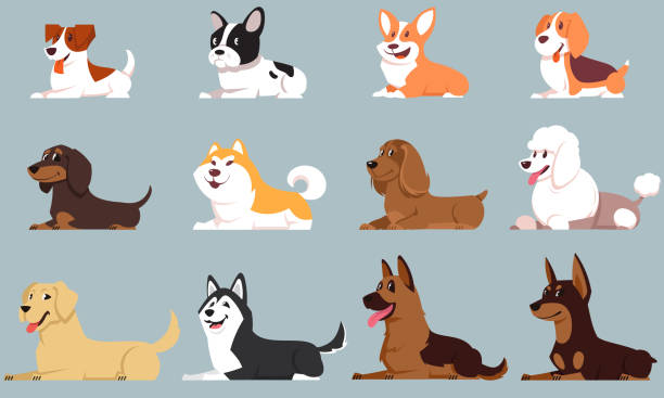 leżące psy różnych ras. - dog stock illustrations