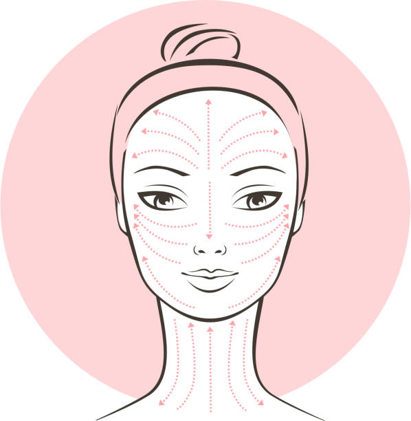 illustrations, cliparts, dessins animés et icônes de système de massage lymphatique - massage visage