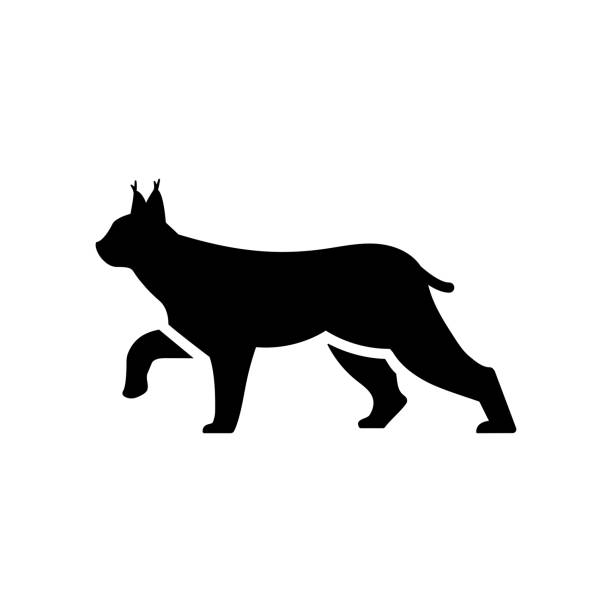 stockillustraties, clipart, cartoons en iconen met het vlakke pictogram van de lynx, wilde kat, dierlijke vectorillustratie - lynx