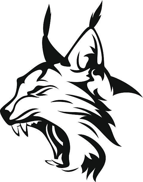 lynx head wild lynx head mascot - black and white animal vector design lynx stock illustrations