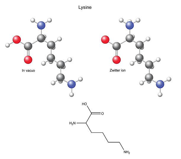 Lysine (Lys) - chemical structural formula and models vector art illustration