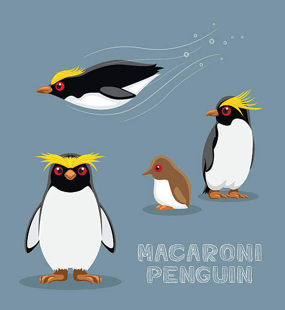 золотоволосый пингвин мультяшный векторная иллюстрация - cute chubby chicks...