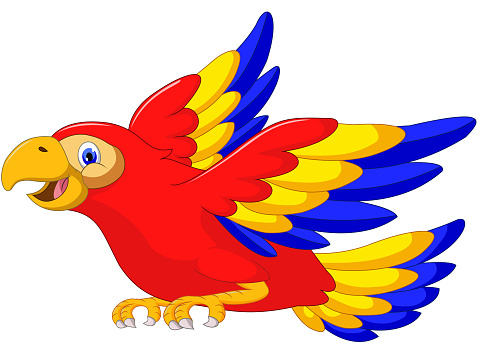 64 Koleksi Gambar Burung Macaw Kartun Terbaik