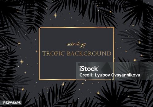 istock Magic background with stars, tropic leaves, place for text. 1413948698